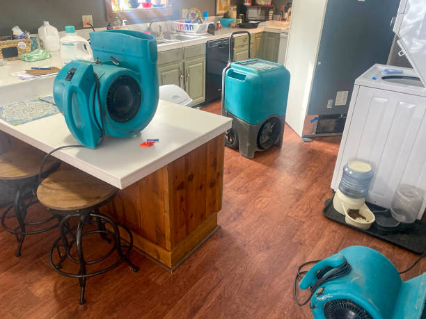 Best Fire Damage Restoration  in Stockton, UT