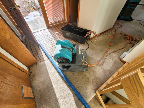 Best Water damage restoration near me  in Stockton, UT