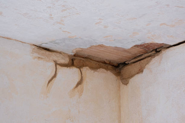 Best Local water damage restoration  in Stockton, UT