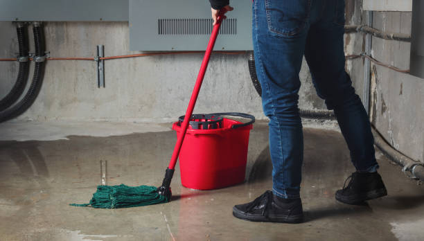 Best Flood damage cleanup  in Stockton, UT