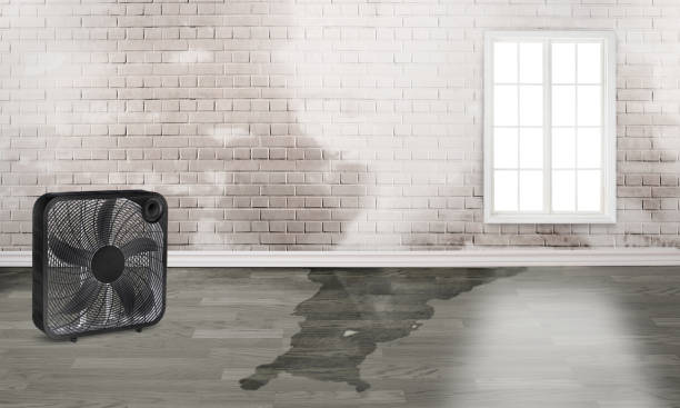 , UT Water damage restoration Company