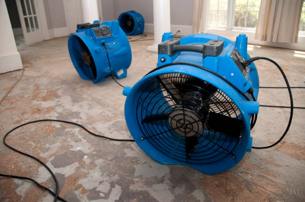 Best Ceiling water damage repair  in Stockton, UT