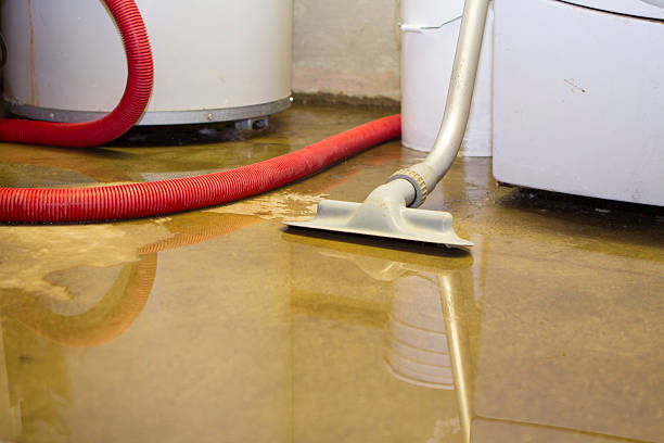Best Water damage contractors near me  in Stockton, UT