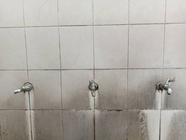Best Flood restoration services  in Stockton, UT